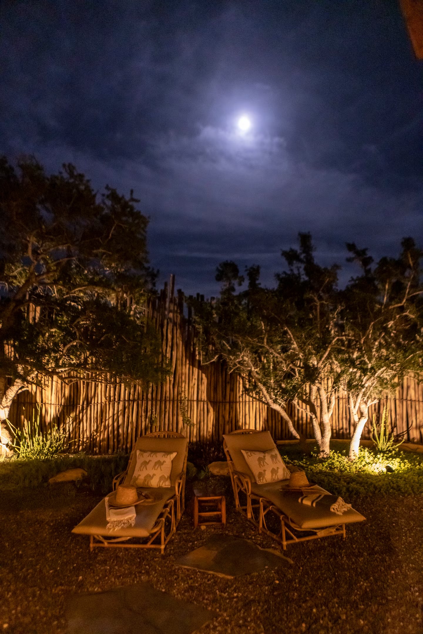 Night garden